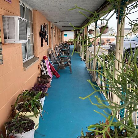 Michaels Siesta Motel St. Petersburg Bagian luar foto