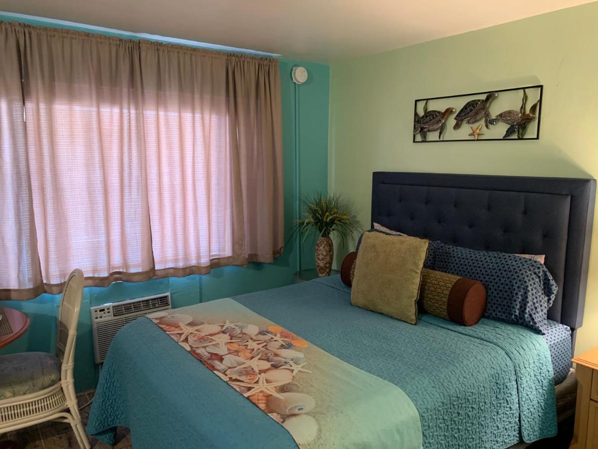 Michaels Siesta Motel St. Petersburg Bagian luar foto