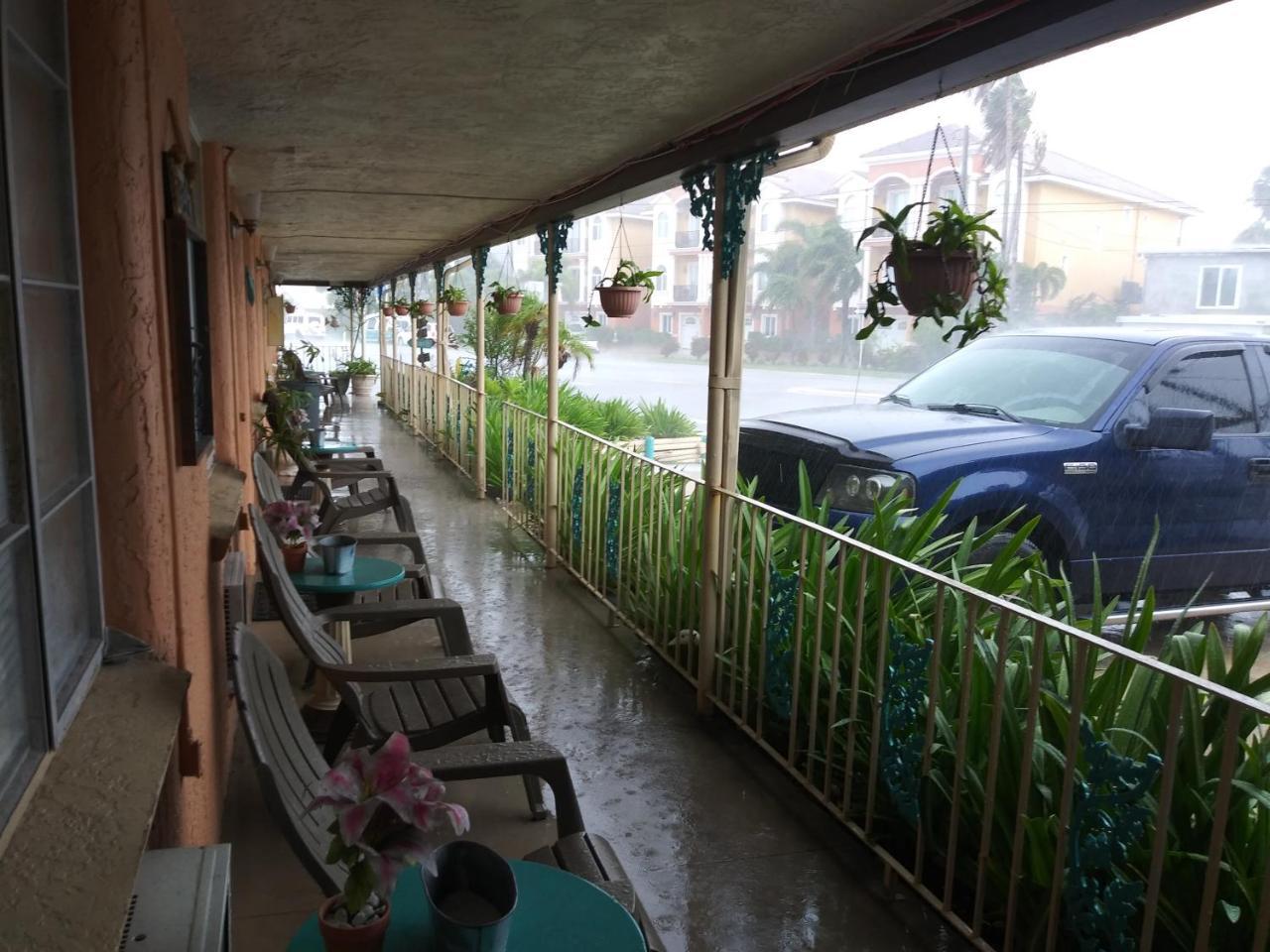 Michaels Siesta Motel St. Petersburg Bagian luar foto